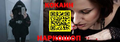 шишки Кимры