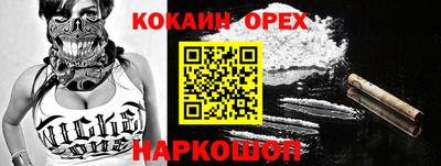 шишки Кимры