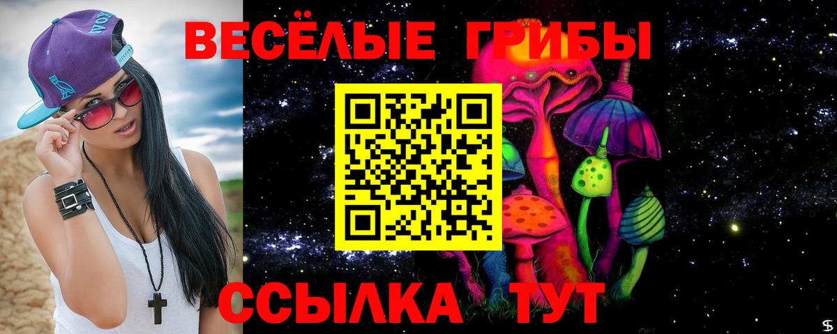 Кувандык  Псилоцибиновые грибы GOLDEN TEACHER  Вход с VPN 